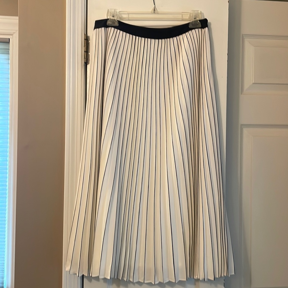 Navy blue and white pleated skirt
